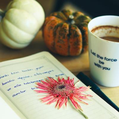 chat and create meaning connections